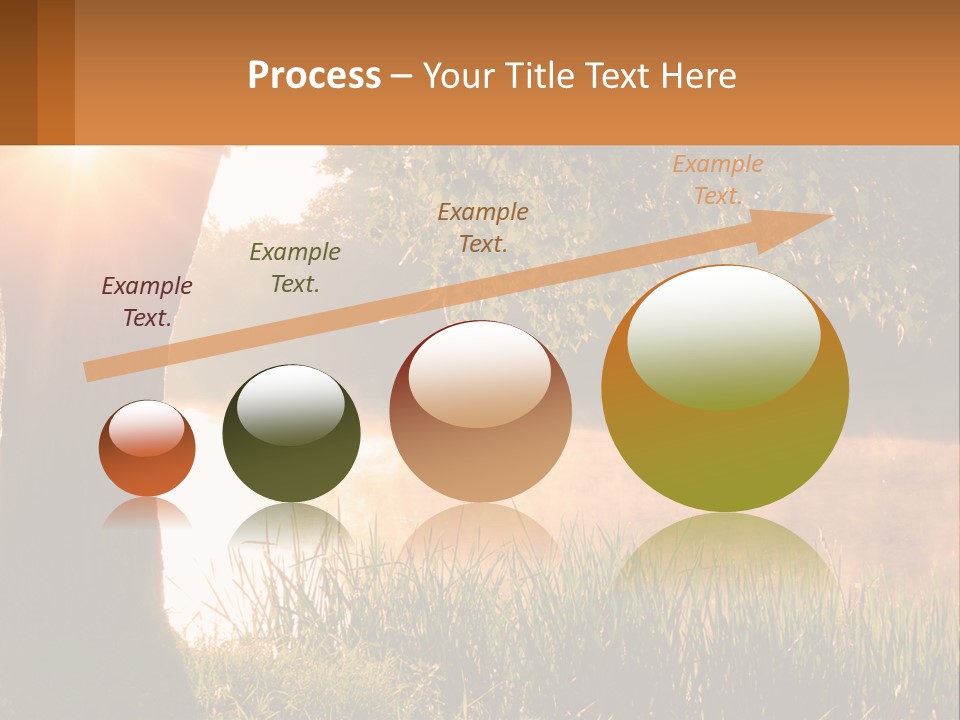 The Sun Shines Through The Trees Over The Water PowerPoint Template