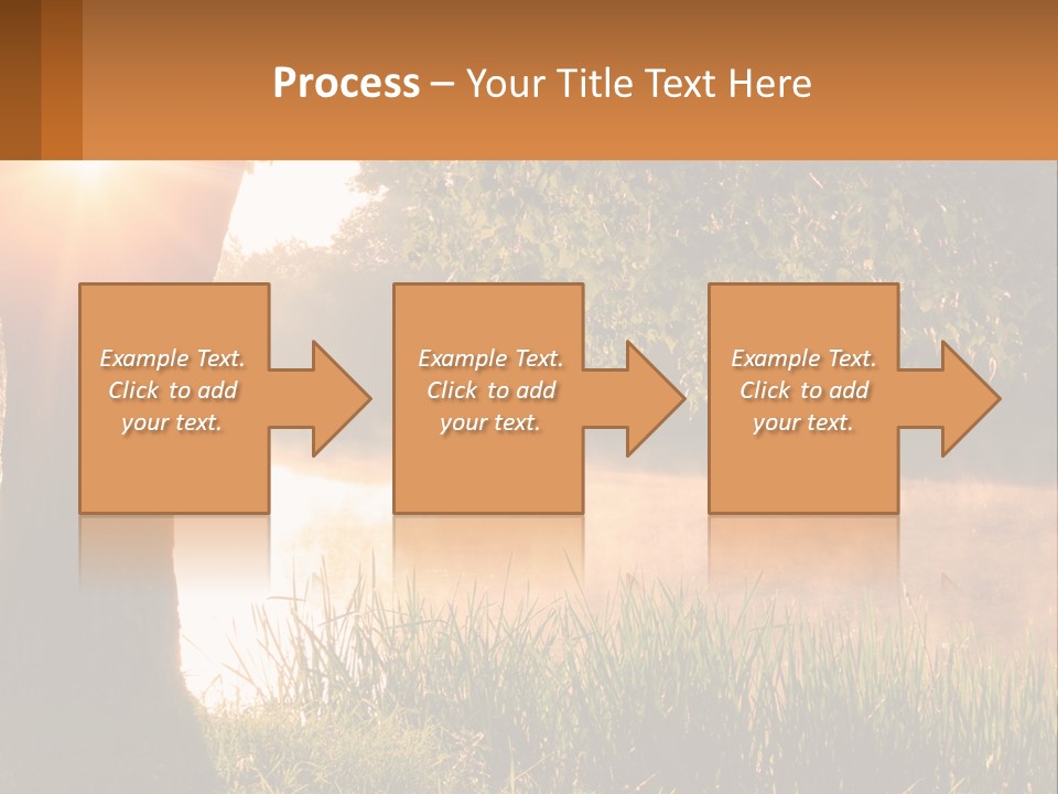 The Sun Shines Through The Trees Over The Water PowerPoint Template