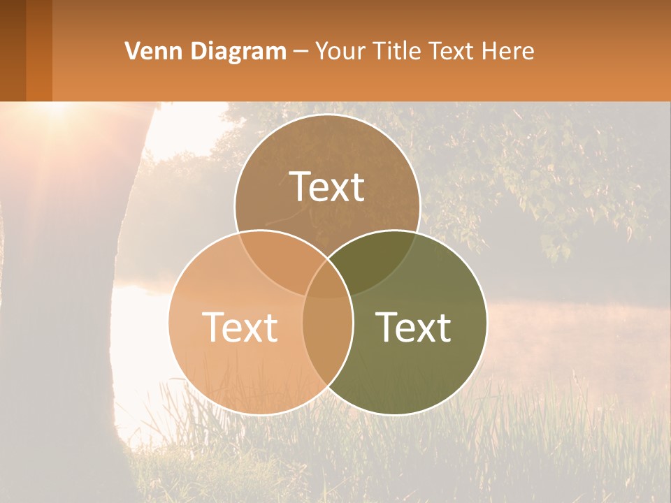 The Sun Shines Through The Trees Over The Water PowerPoint Template