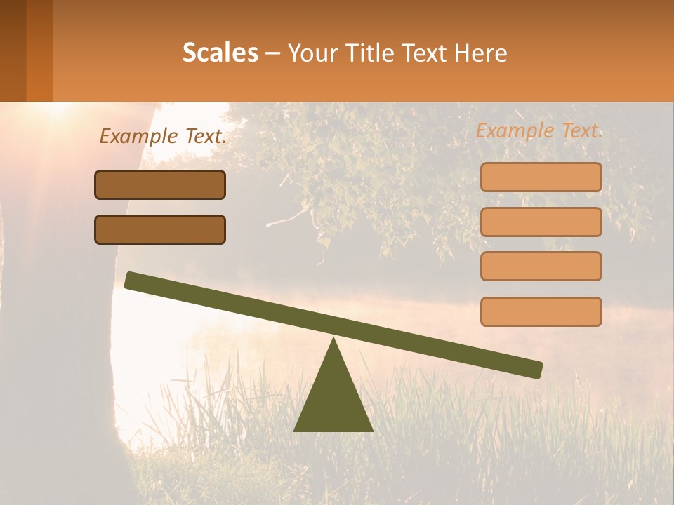 The Sun Shines Through The Trees Over The Water PowerPoint Template