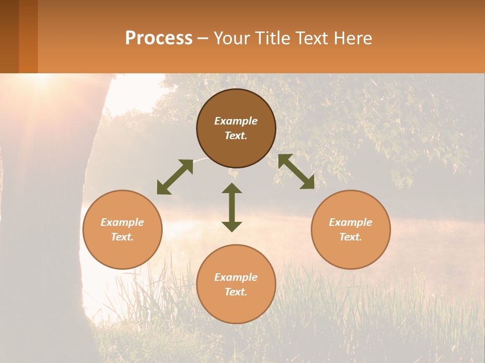 The Sun Shines Through The Trees Over The Water PowerPoint Template
