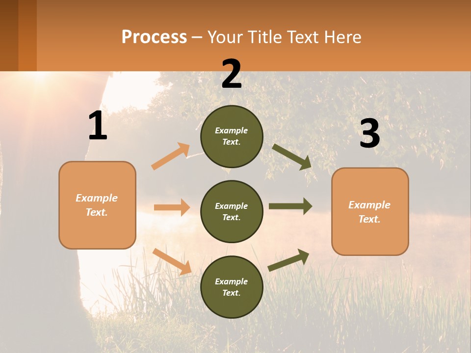 The Sun Shines Through The Trees Over The Water PowerPoint Template