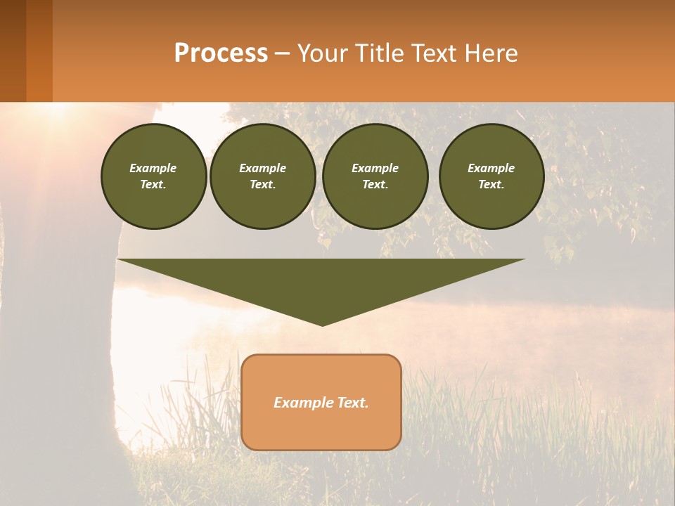 The Sun Shines Through The Trees Over The Water PowerPoint Template