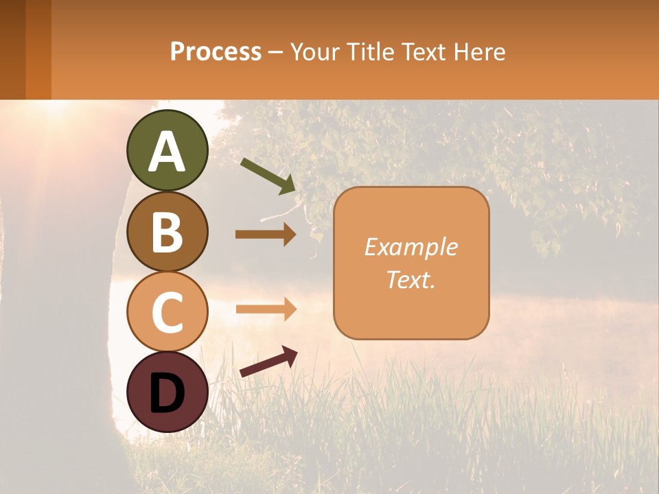 The Sun Shines Through The Trees Over The Water PowerPoint Template