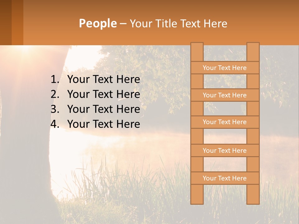 The Sun Shines Through The Trees Over The Water PowerPoint Template