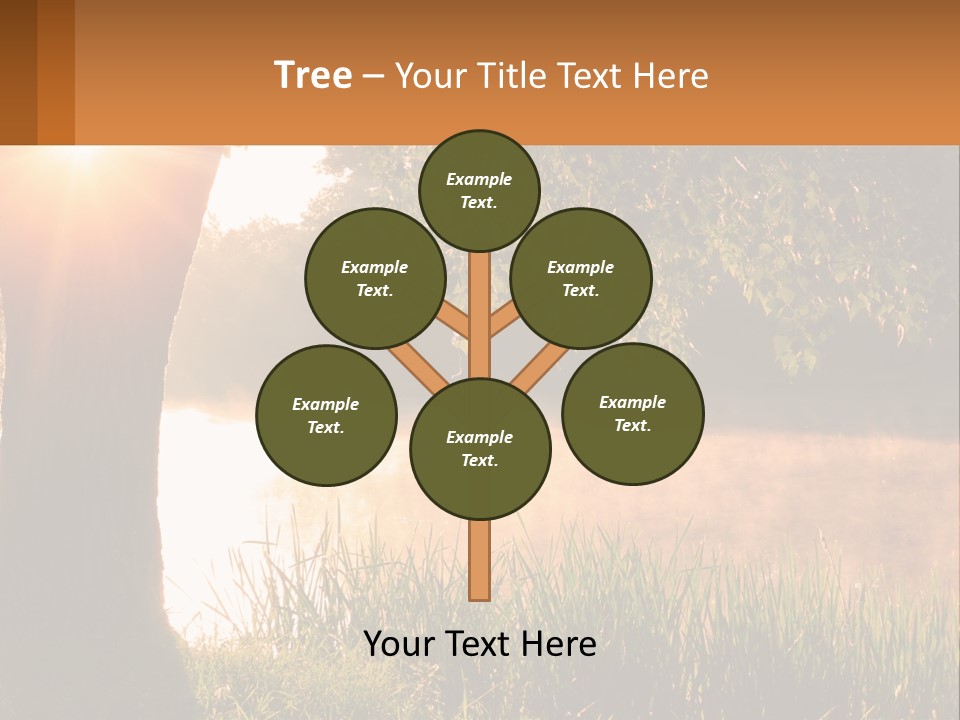 The Sun Shines Through The Trees Over The Water PowerPoint Template