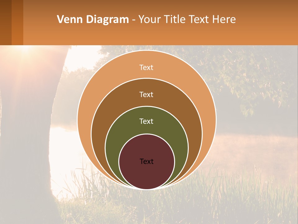 The Sun Shines Through The Trees Over The Water PowerPoint Template