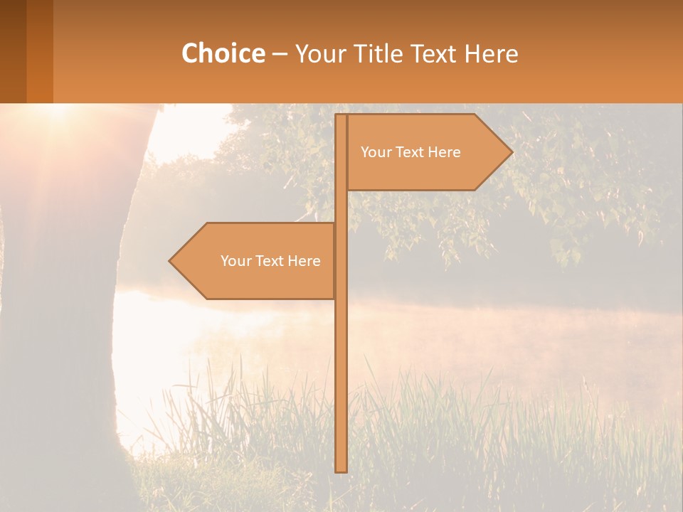The Sun Shines Through The Trees Over The Water PowerPoint Template
