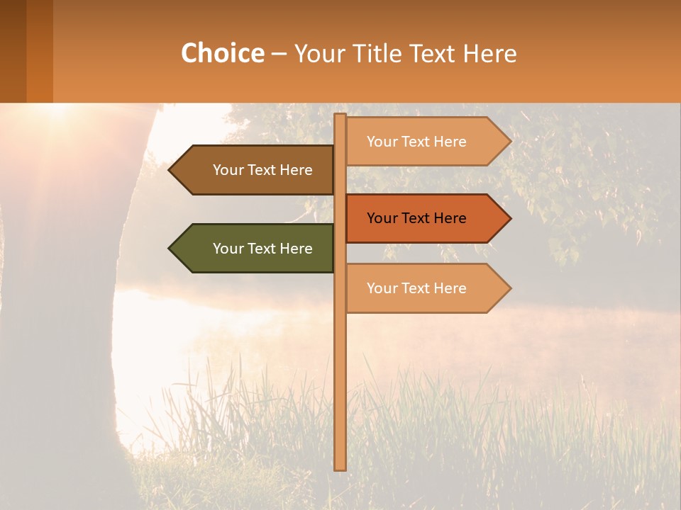 The Sun Shines Through The Trees Over The Water PowerPoint Template
