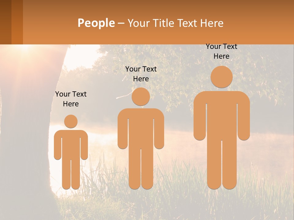 The Sun Shines Through The Trees Over The Water PowerPoint Template