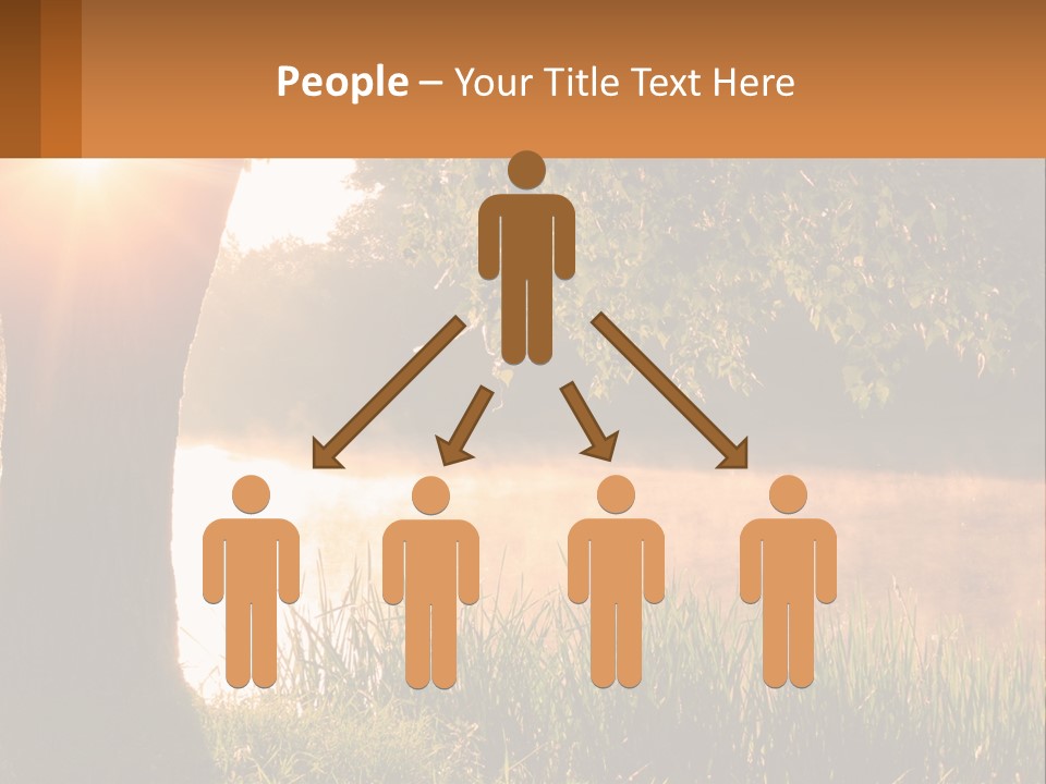 The Sun Shines Through The Trees Over The Water PowerPoint Template