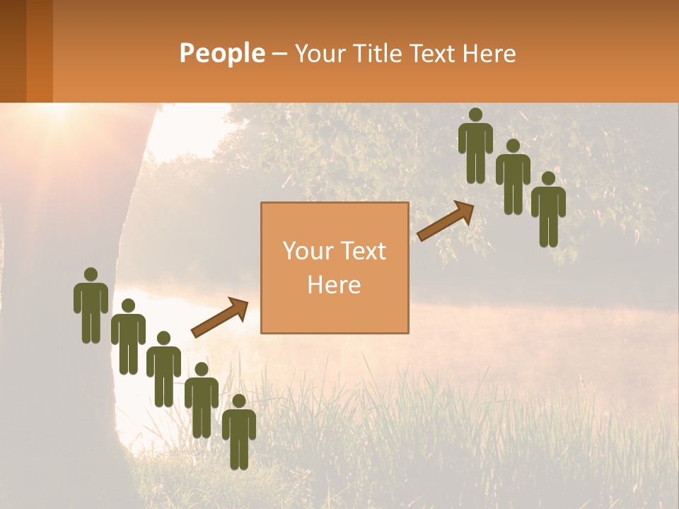 The Sun Shines Through The Trees Over The Water PowerPoint Template