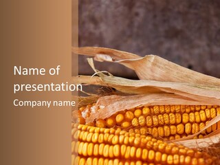 A Corn On The Cob With A Brown Background PowerPoint Template