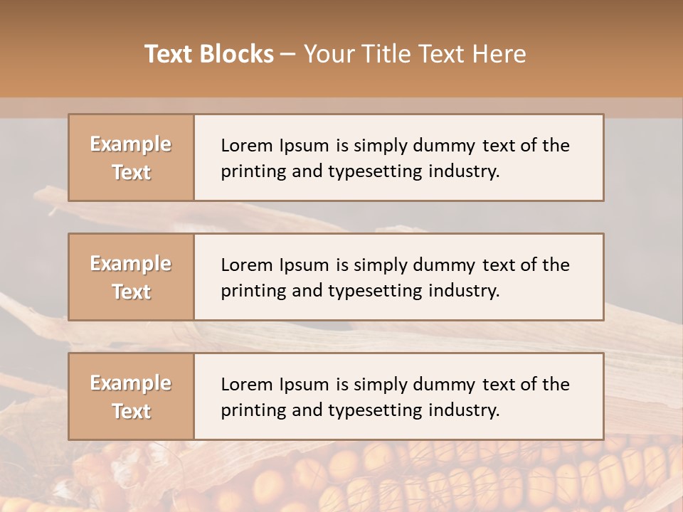A Corn On The Cob With A Brown Background PowerPoint Template