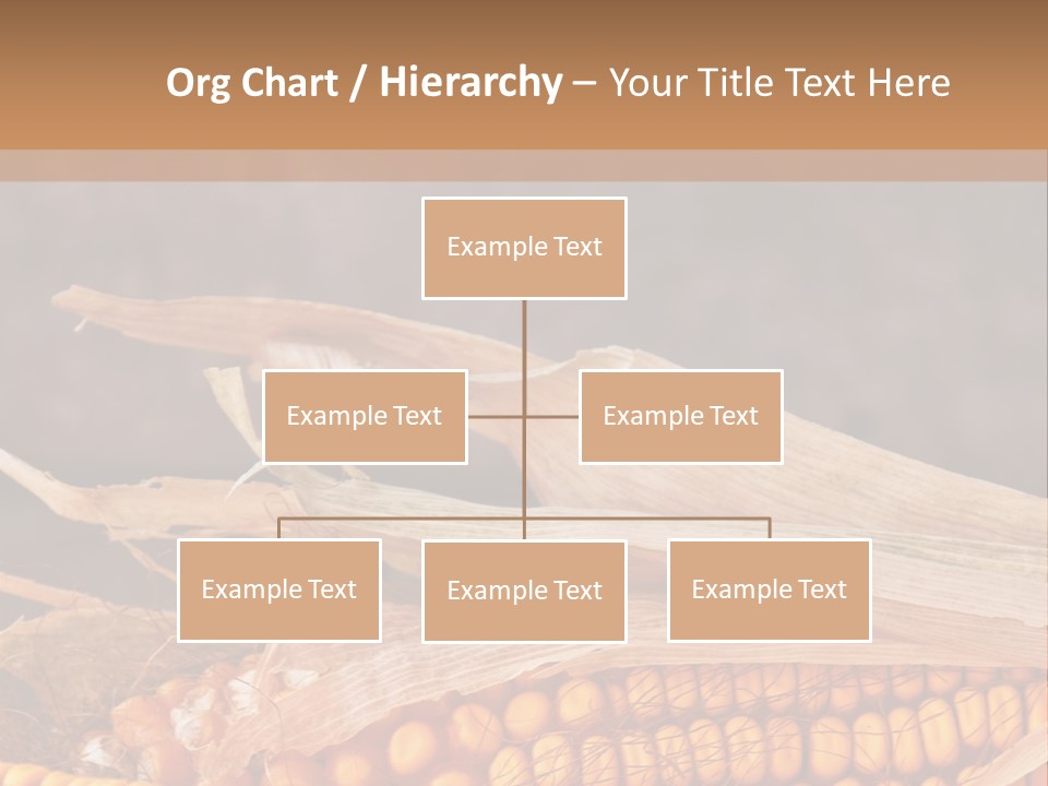 A Corn On The Cob With A Brown Background PowerPoint Template