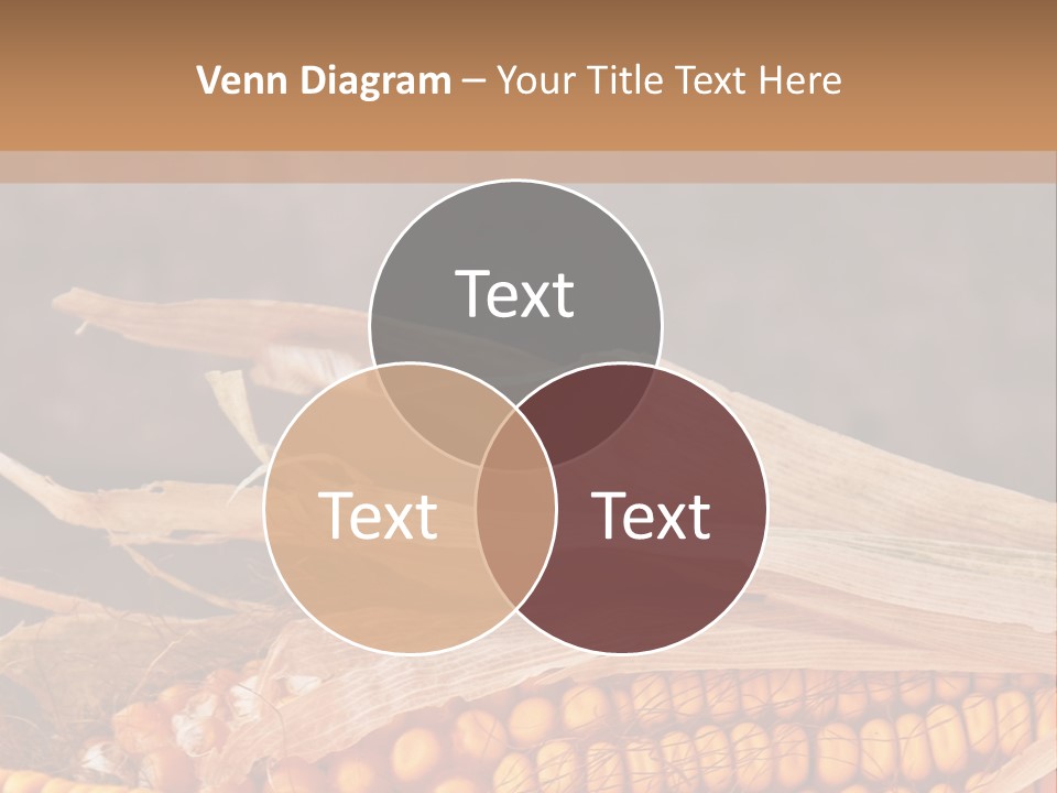 A Corn On The Cob With A Brown Background PowerPoint Template