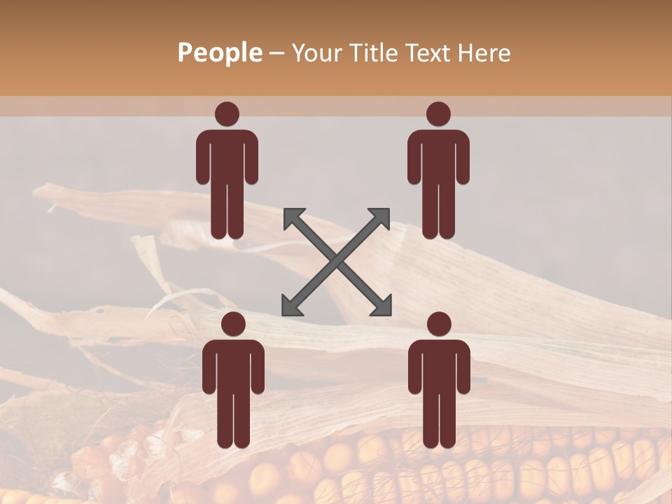 A Corn On The Cob With A Brown Background PowerPoint Template