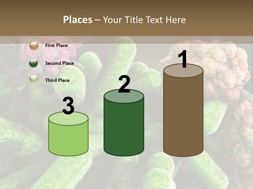 A Group Of Green And Pink Algaes Powerpoint Template PowerPoint Template