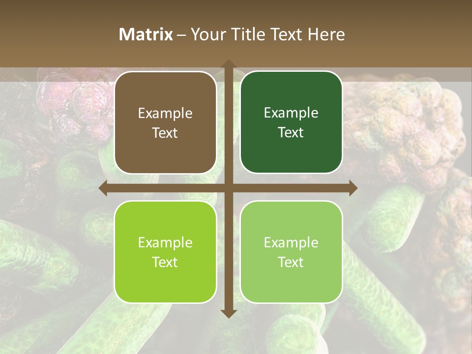 A Group Of Green And Pink Algaes Powerpoint Template PowerPoint Template