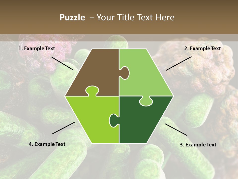 A Group Of Green And Pink Algaes Powerpoint Template PowerPoint Template