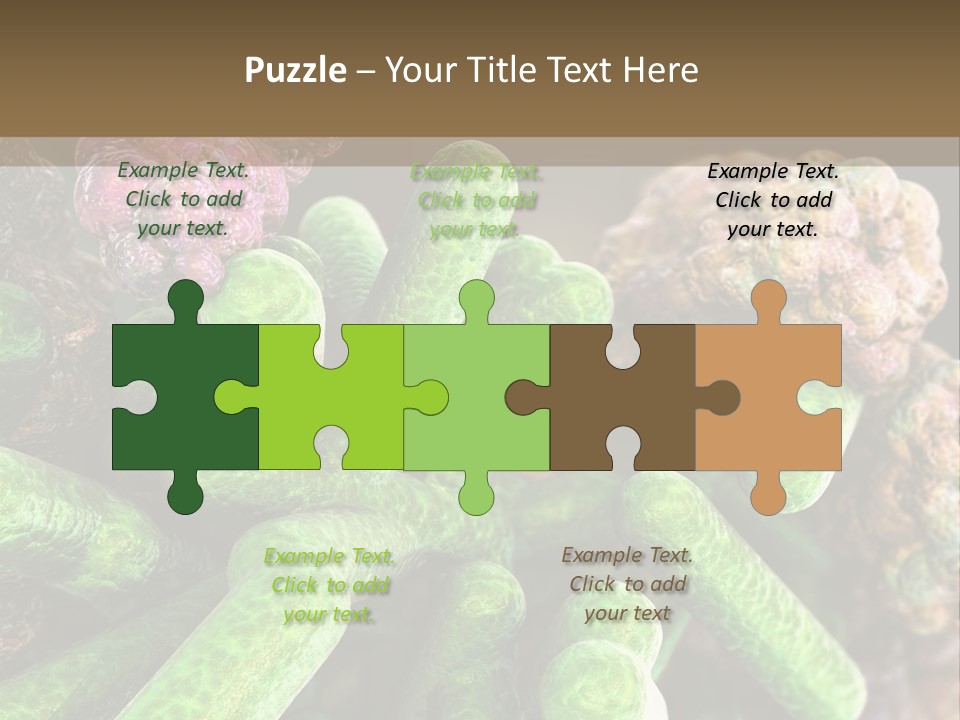 A Group Of Green And Pink Algaes Powerpoint Template PowerPoint Template