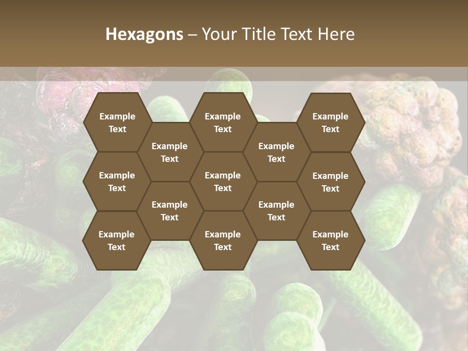 A Group Of Green And Pink Algaes Powerpoint Template PowerPoint Template