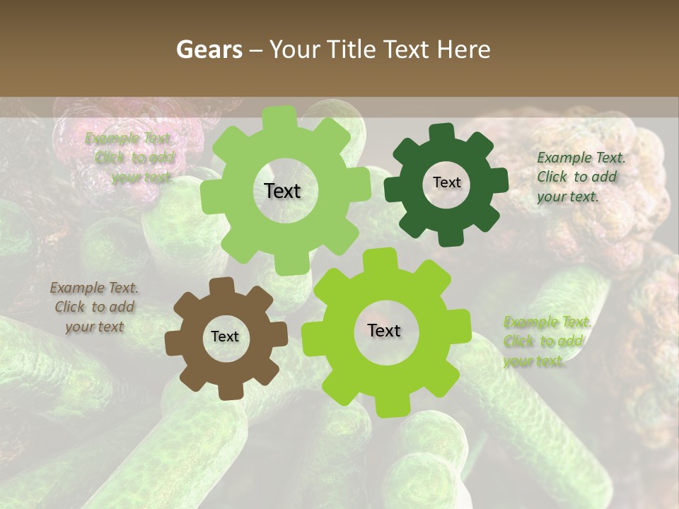 A Group Of Green And Pink Algaes Powerpoint Template PowerPoint Template