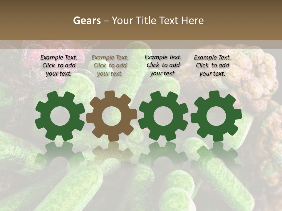 A Group Of Green And Pink Algaes Powerpoint Template PowerPoint Template