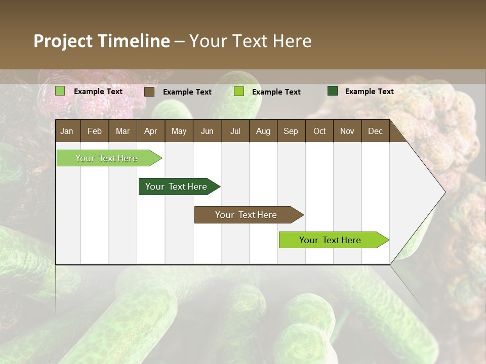 A Group Of Green And Pink Algaes Powerpoint Template PowerPoint Template