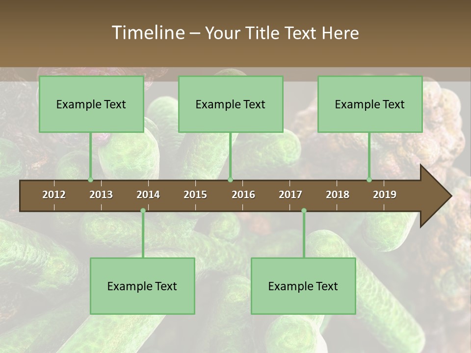 A Group Of Green And Pink Algaes Powerpoint Template PowerPoint Template