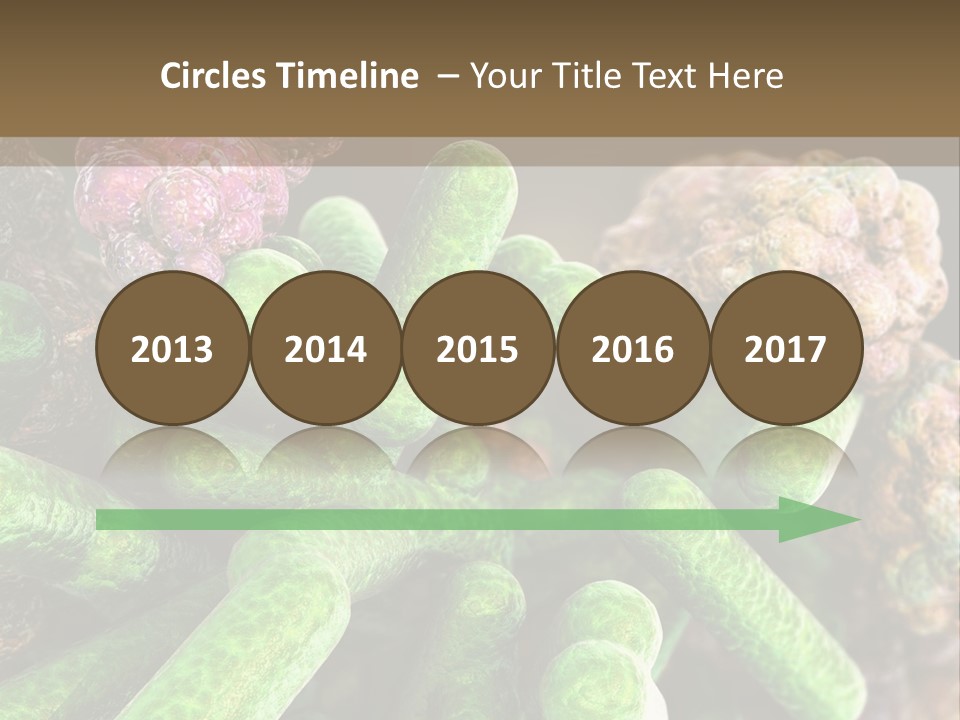 A Group Of Green And Pink Algaes Powerpoint Template PowerPoint Template