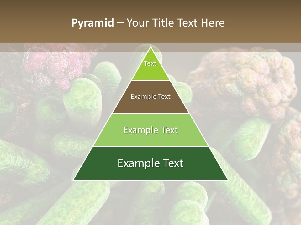 A Group Of Green And Pink Algaes Powerpoint Template PowerPoint Template