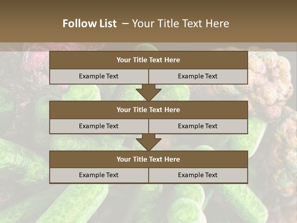 A Group Of Green And Pink Algaes Powerpoint Template PowerPoint Template
