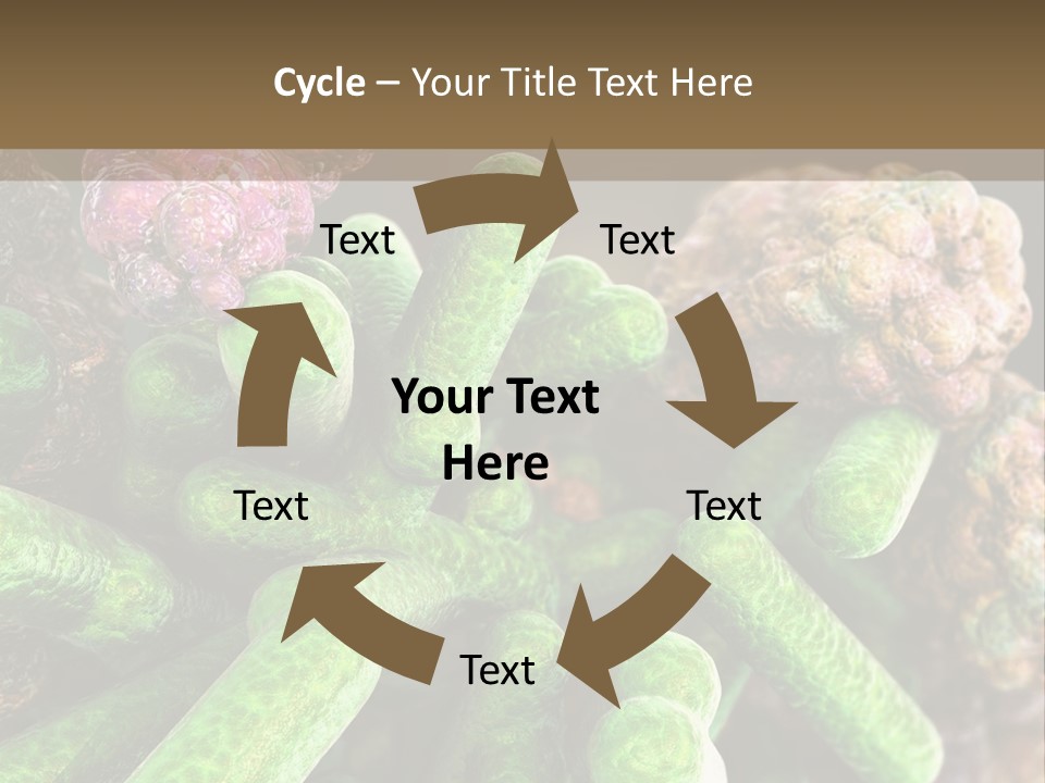 A Group Of Green And Pink Algaes Powerpoint Template PowerPoint Template