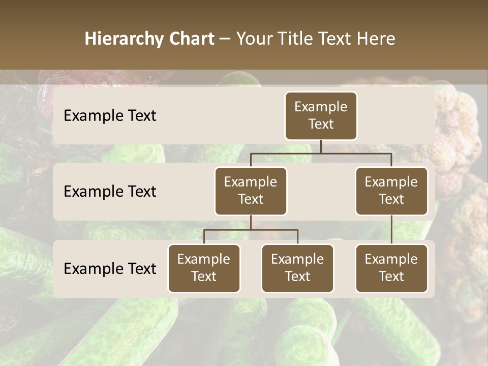 A Group Of Green And Pink Algaes Powerpoint Template PowerPoint Template