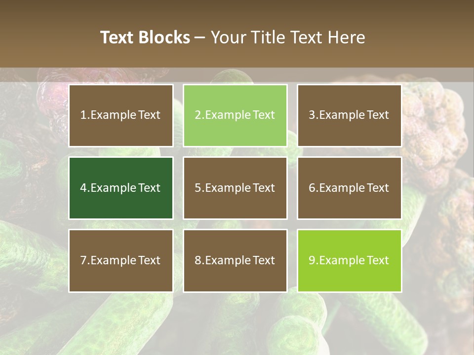 A Group Of Green And Pink Algaes Powerpoint Template PowerPoint Template