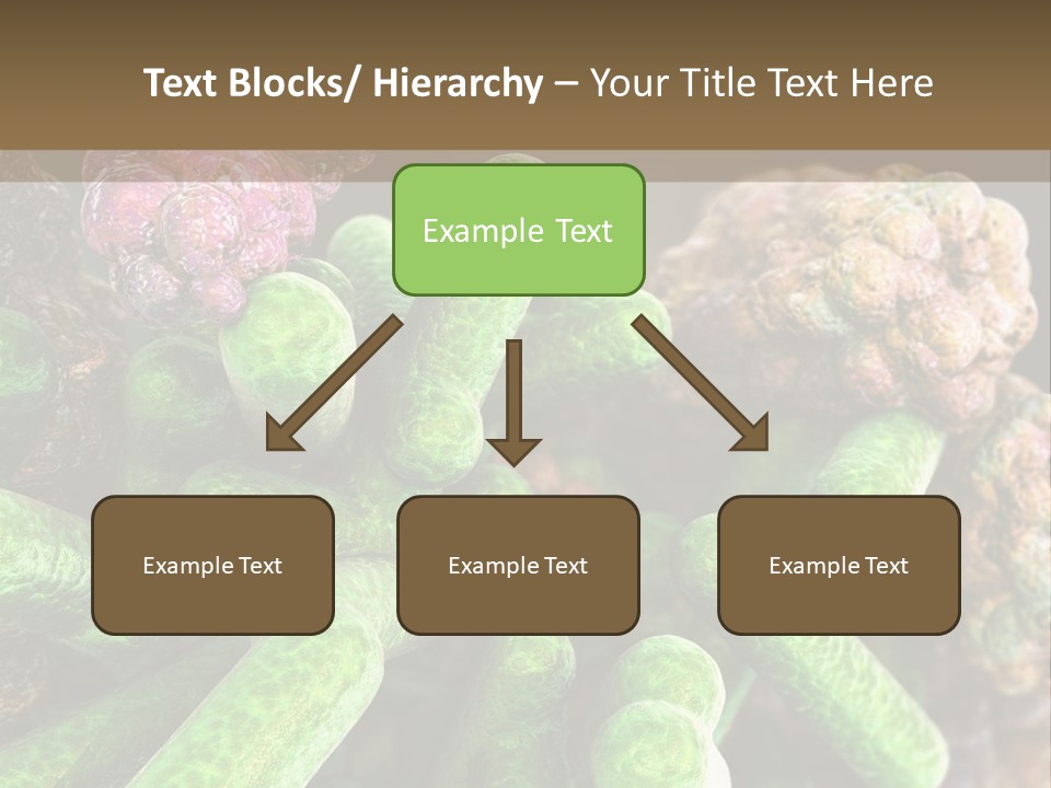 A Group Of Green And Pink Algaes Powerpoint Template PowerPoint Template