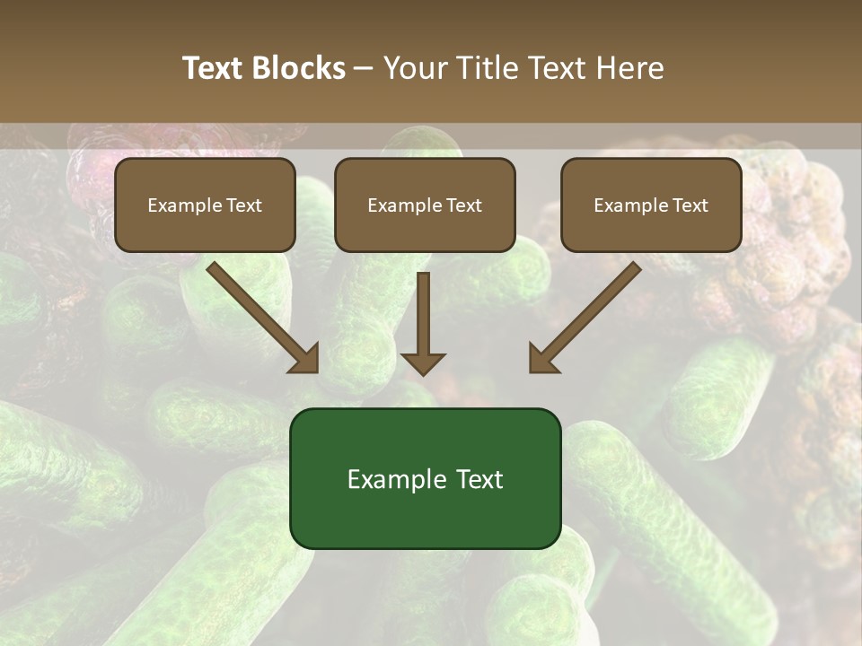 A Group Of Green And Pink Algaes Powerpoint Template PowerPoint Template
