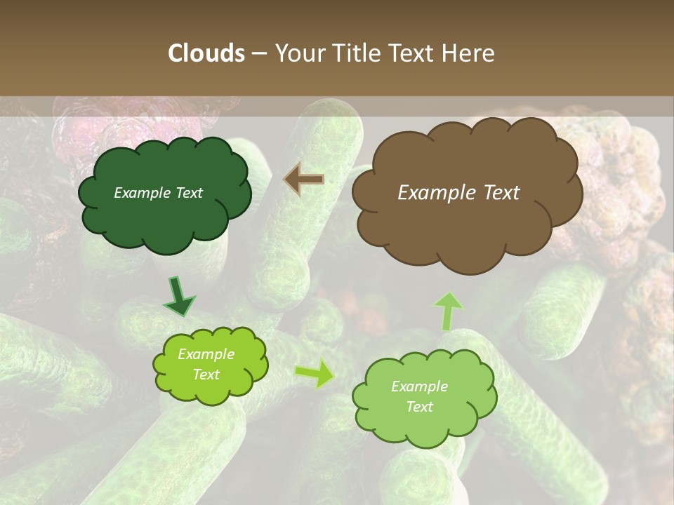 A Group Of Green And Pink Algaes Powerpoint Template PowerPoint Template