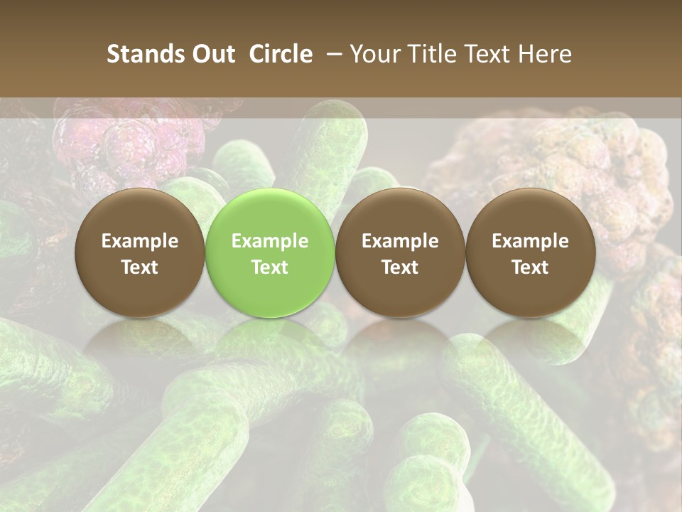 A Group Of Green And Pink Algaes Powerpoint Template PowerPoint Template