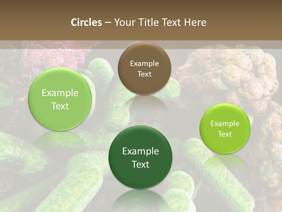 A Group Of Green And Pink Algaes Powerpoint Template PowerPoint Template