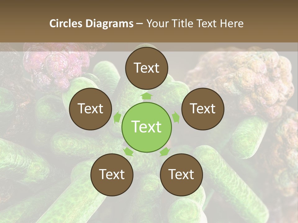 A Group Of Green And Pink Algaes Powerpoint Template PowerPoint Template