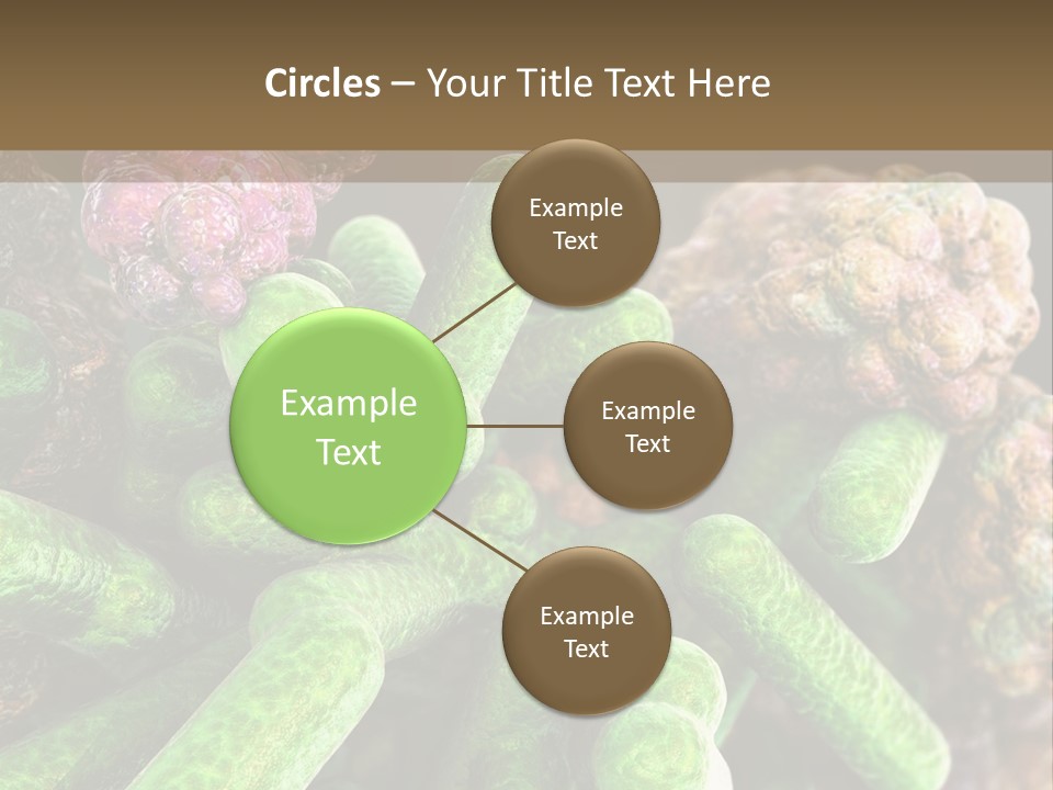 A Group Of Green And Pink Algaes Powerpoint Template PowerPoint Template