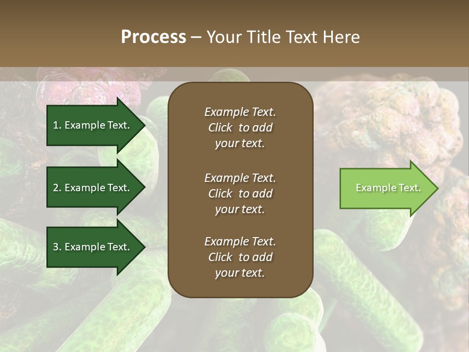 A Group Of Green And Pink Algaes Powerpoint Template PowerPoint Template