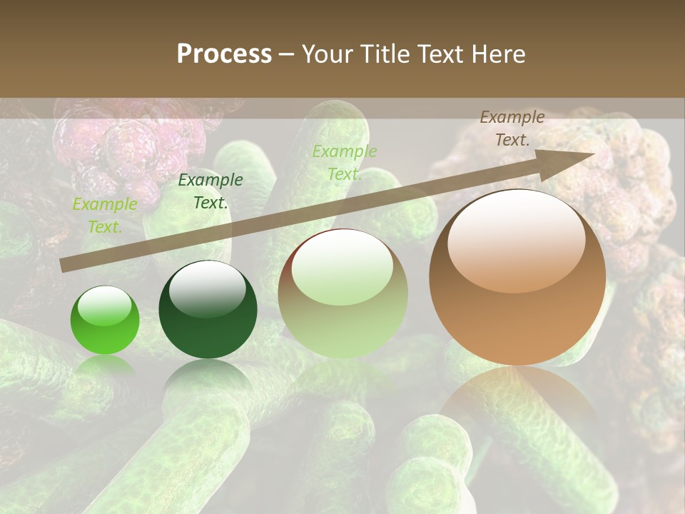 A Group Of Green And Pink Algaes Powerpoint Template PowerPoint Template