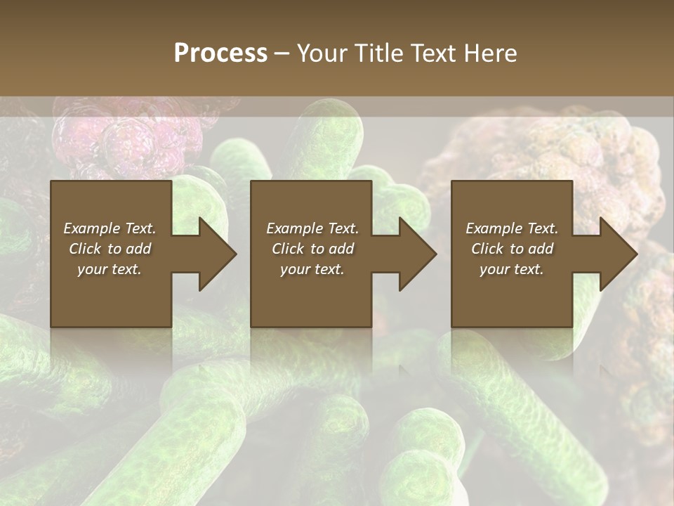 A Group Of Green And Pink Algaes Powerpoint Template PowerPoint Template