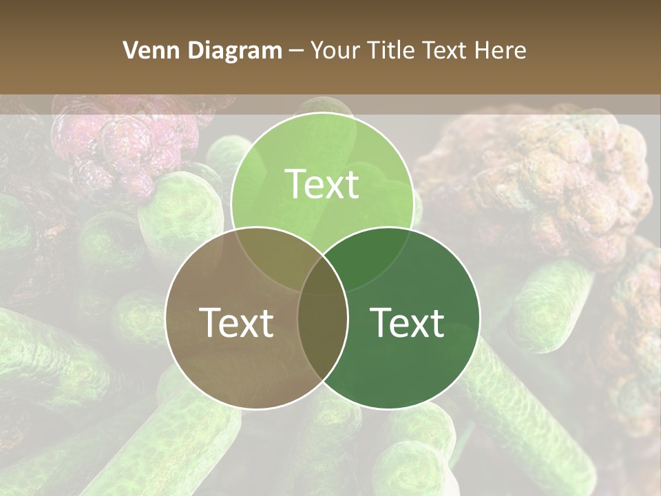 A Group Of Green And Pink Algaes Powerpoint Template PowerPoint Template