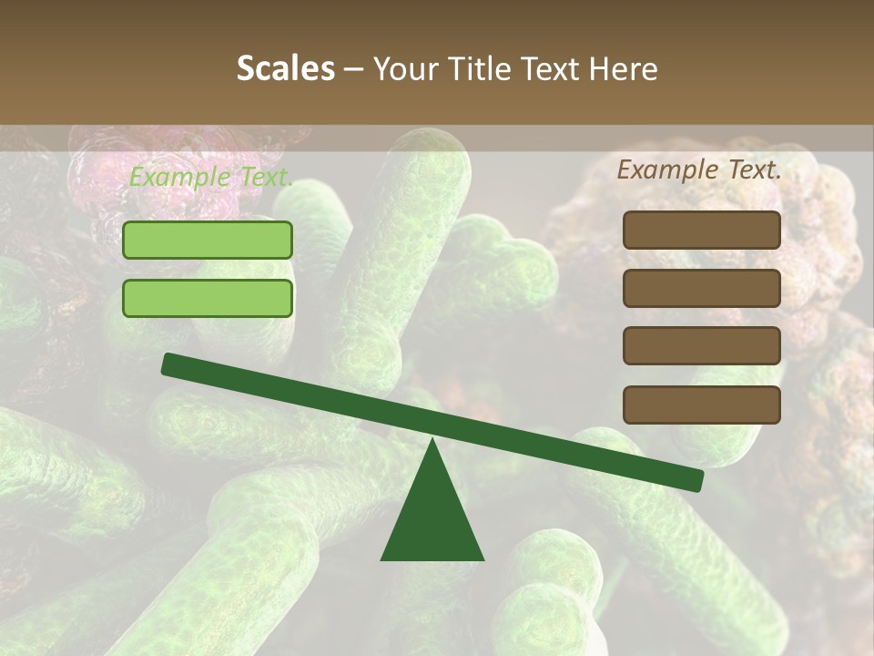 A Group Of Green And Pink Algaes Powerpoint Template PowerPoint Template