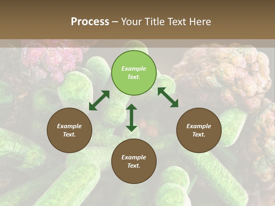 A Group Of Green And Pink Algaes Powerpoint Template PowerPoint Template