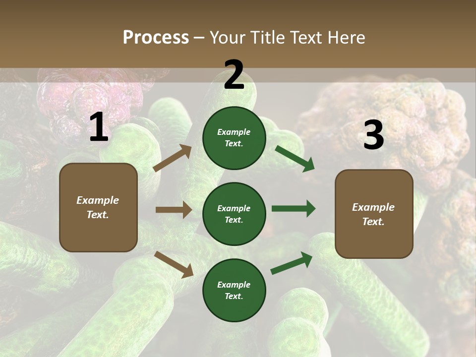 A Group Of Green And Pink Algaes Powerpoint Template PowerPoint Template